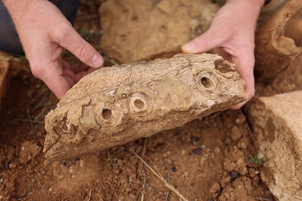 100 Million-Year-Old Fossil Found In Australia Is 'Rosetta Stone' Of Paleontology