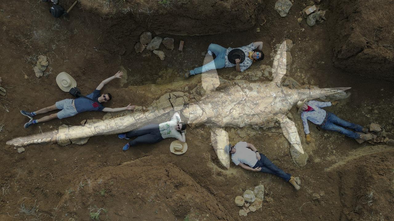 Amateur fossil hunters unearth elasmosaur in Queensland | The Australian