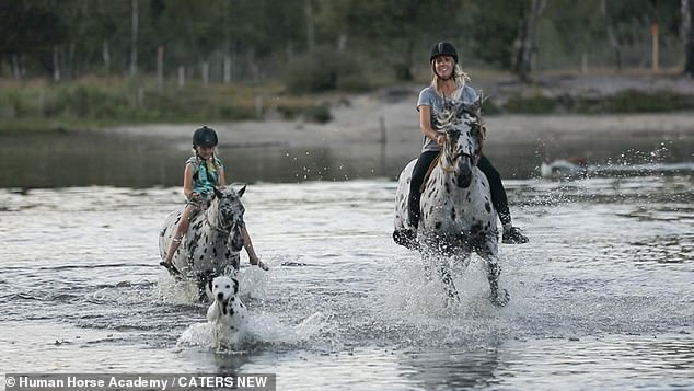 Appaloosa stallion Nevada, 10, Shetland pony Napoleon, six, and Dalmatian Jack Sparrow, two, are the best of friends and love wowing strangers with their unique matching spots