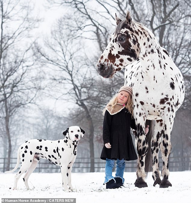 Mother-of-one Greetje, 35, adores taking the animals out with her seven-year-old daughter Jolie Lune Arends (pictured), who loves riding the Shetland pony - to the amazement of passers by.
