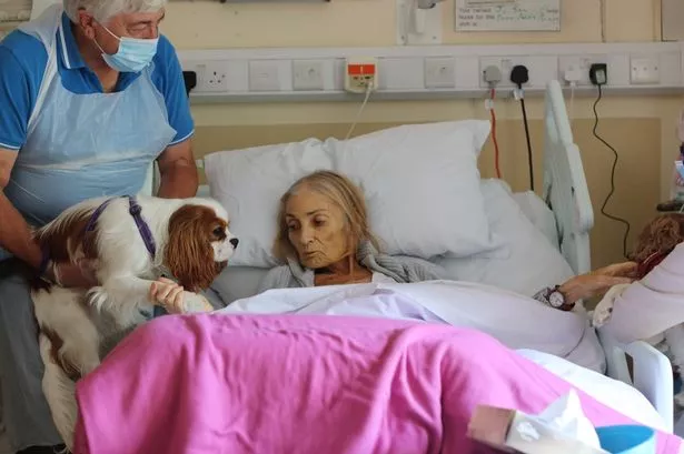 Jan's face 'lit up' when she got to see her beloved animals