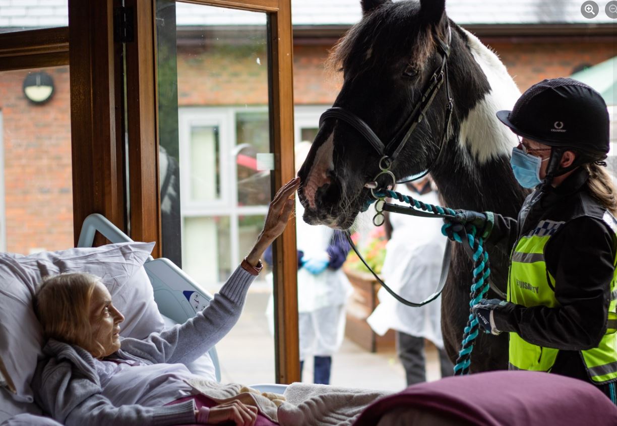 Jan pictured with her horse Bob