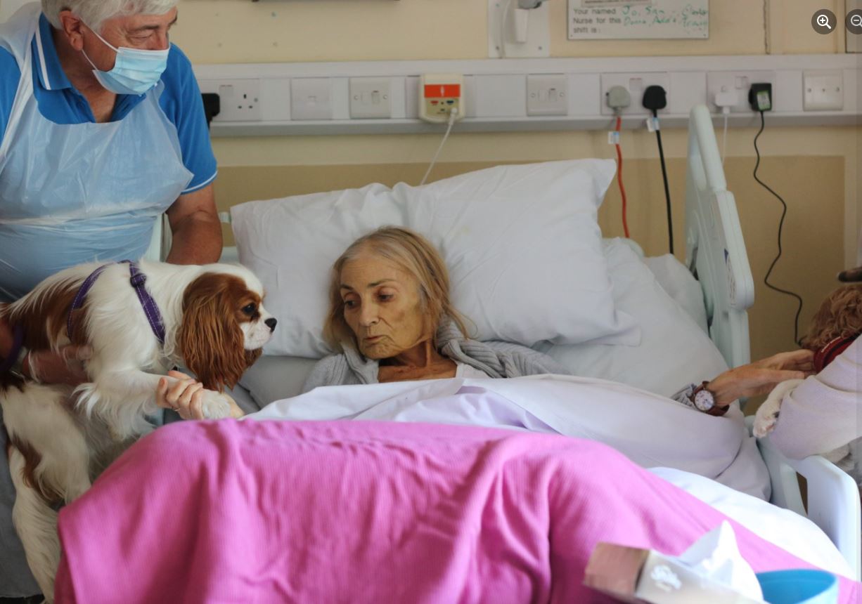 Jan pictured with her two dogs 