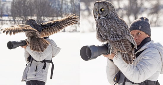 Owl Lands on Photographer's Lens, Blends in Perfectly | PetaPixel